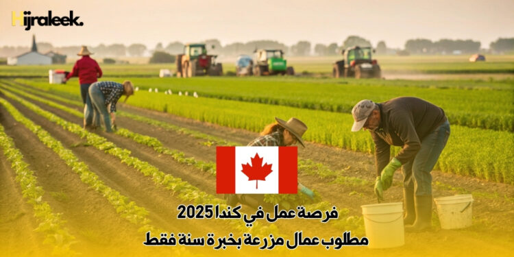 فرصة عمل في كندا 2025 : مطلوب عمال مزرعة بخبرة سنة فقط