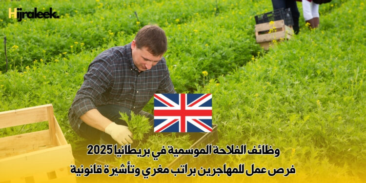وظائف الفلاحة الموسمية في بريطانيا 2025 | فرص عمل للمهاجرين براتب مغري وتأشيرة قانونية