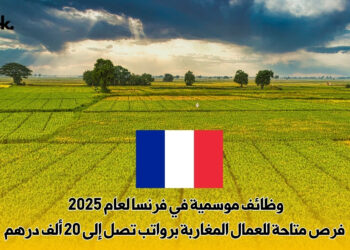 وظائف موسمية في فرنسا لعام 2025 : فرص متاحة للعمال المغاربة برواتب تصل إلى 20 ألف درهم