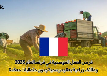 فرص العمل الموسمية في فرنسا لعام 2025 : وظائف زراعية بعقود رسمية ودون متطلبات معقدة