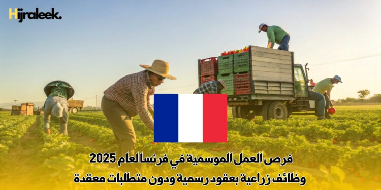 فرص العمل الموسمية في فرنسا لعام 2025 : وظائف زراعية بعقود رسمية ودون متطلبات معقدة