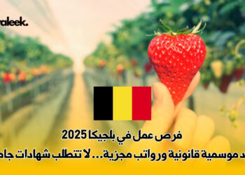 فرص عمل في بلجيكا 2025