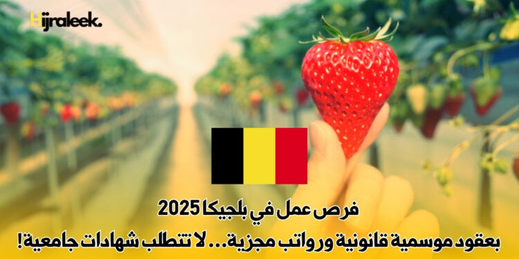 فرص عمل في بلجيكا 2025