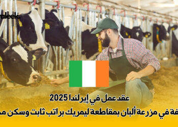 عقد عمل في إيرلندا