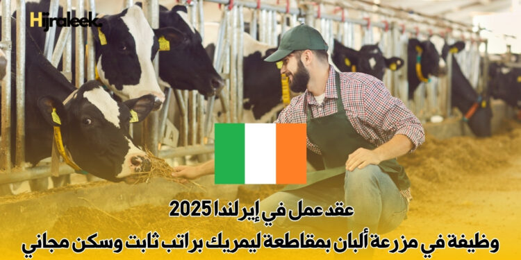 عقد عمل في إيرلندا