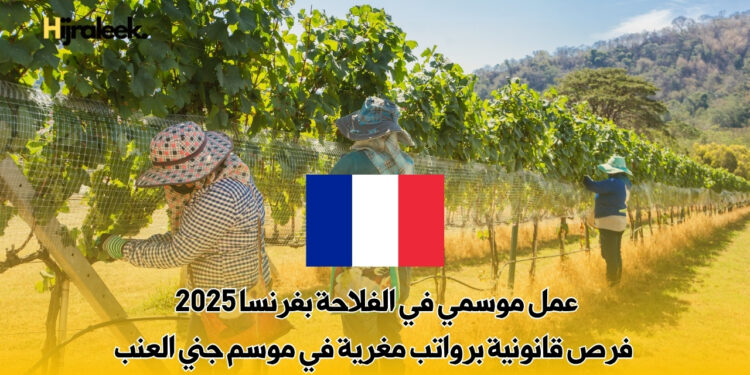 عمل موسمي في الفلاحة بفرنسا