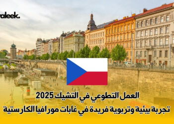 العمل التطوعي في التشيك