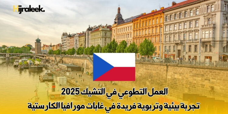 العمل التطوعي في التشيك