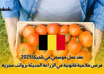 عقد عمل موسمي في بلجيكا