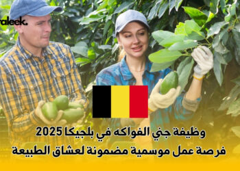 وظيفة جني الفواكه في بلجيكا