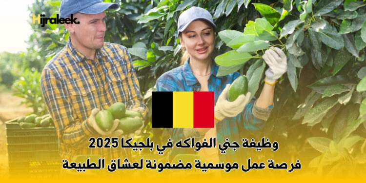 وظيفة جني الفواكه في بلجيكا