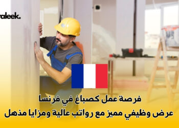 فرصة عمل كصباغ في فرنسا