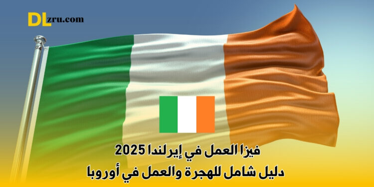 فيزا العمل في إيرلندا 2025