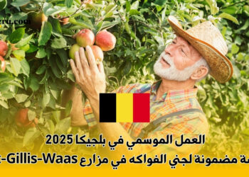العمل الموسمي في بلجيكا 2025