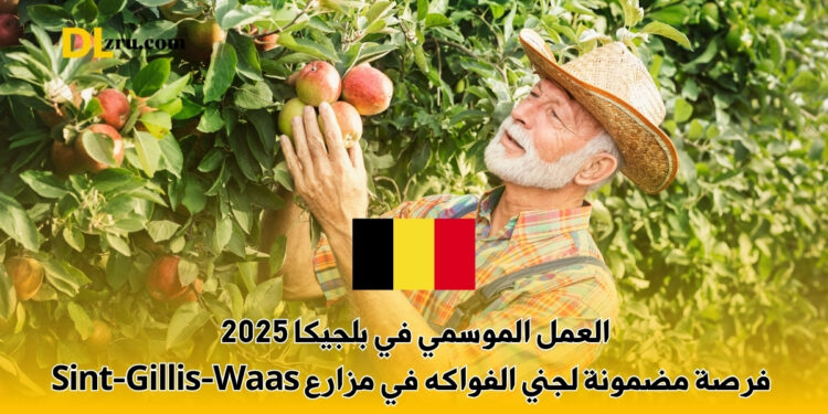 العمل الموسمي في بلجيكا 2025