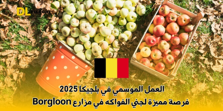 العمل الموسمي في بلجيكا