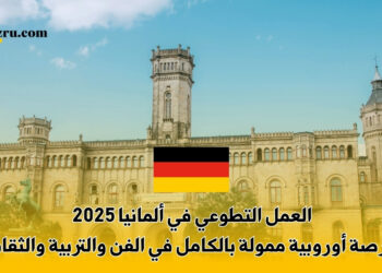 العمل التطوعي في ألمانيا