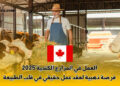 العمل في المزارع الكندية 2025