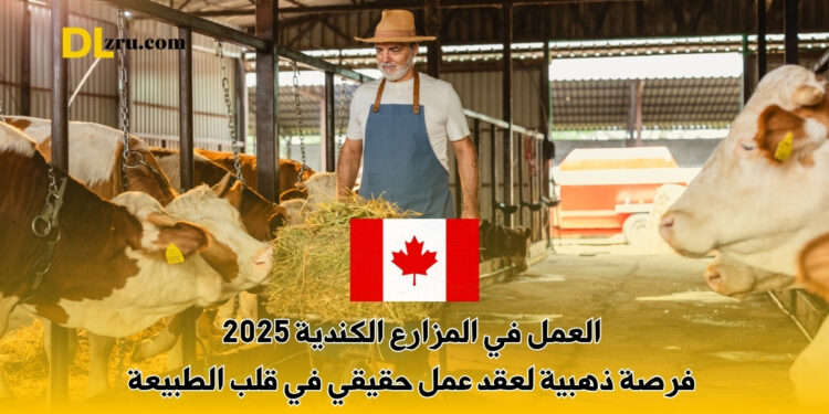 العمل في المزارع الكندية 2025