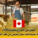 العمل في المزارع الكندية 2025