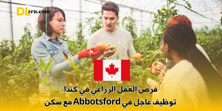 فرص العمل الزراعي في كندا