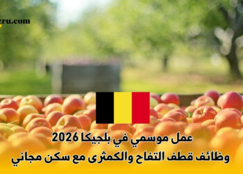 عمل موسمي في بلجيكا 2026