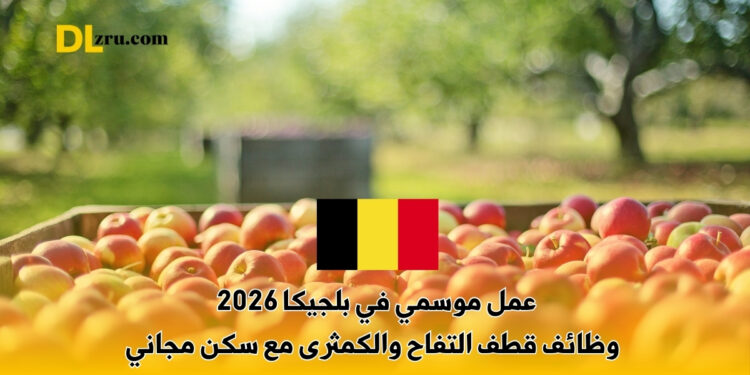 عمل موسمي في بلجيكا 2026