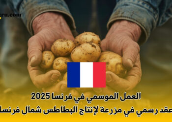 العمل الموسمي في فرنسا