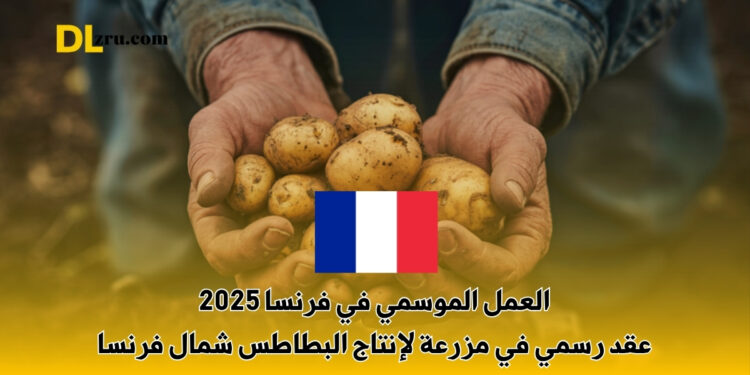 العمل الموسمي في فرنسا