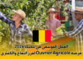 العمل الموسمي في بلجيكا 2026