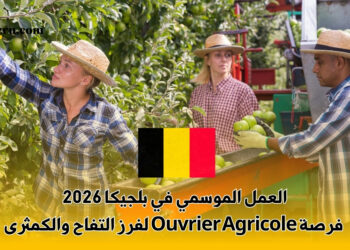 العمل الموسمي في بلجيكا 2026