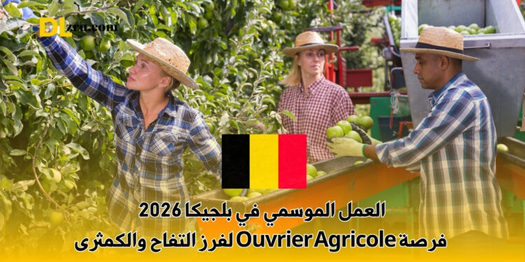 العمل الموسمي في بلجيكا 2026