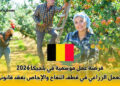 فرصة عمل موسمية في بلجيكا 2026