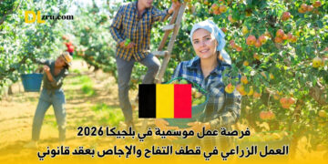 فرصة عمل موسمية في بلجيكا 2026
