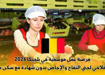 فرصة عمل موسمية في بلجيكا 2026