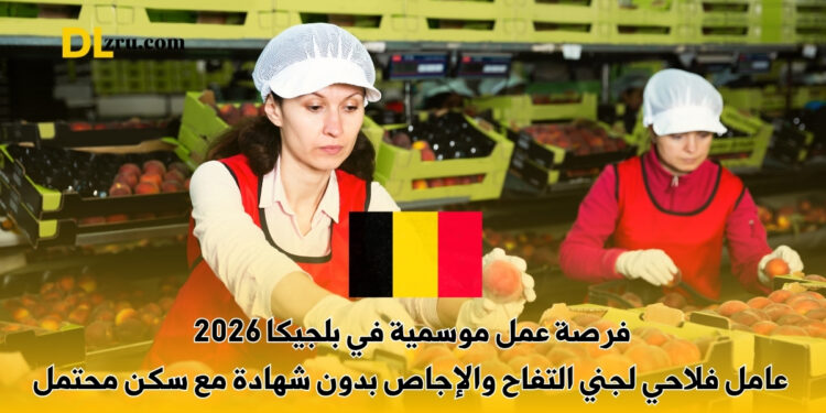 فرصة عمل موسمية في بلجيكا 2026