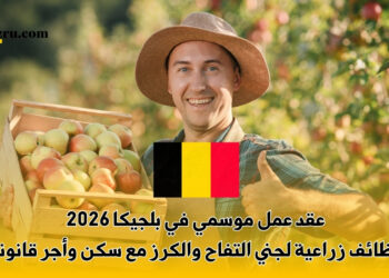 عقد عمل موسمي في بلجيكا 2026