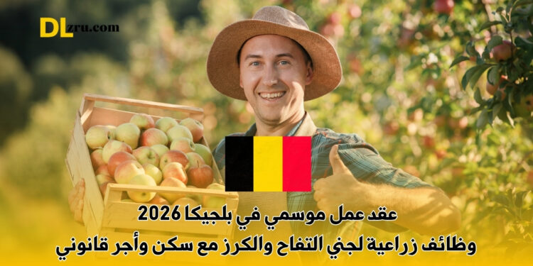عقد عمل موسمي في بلجيكا 2026
