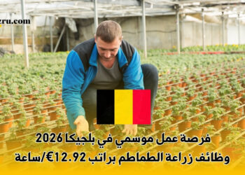 فرصة عمل موسمي في بلجيكا 2026
