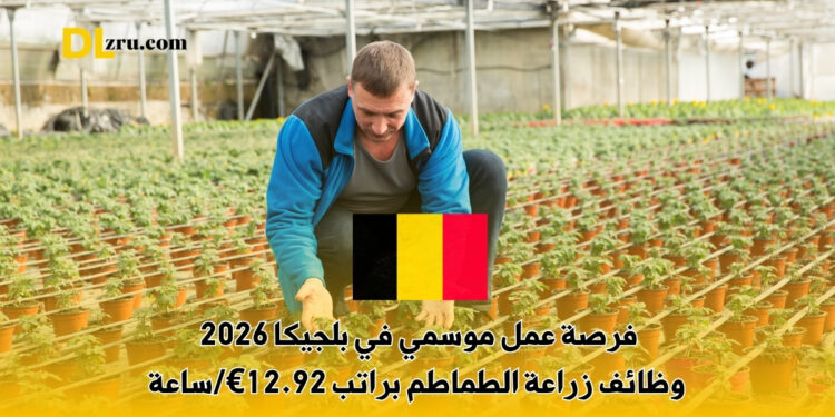 فرصة عمل موسمي في بلجيكا 2026