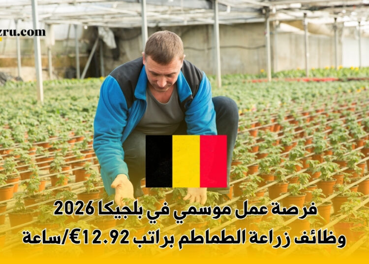 فرصة عمل موسمي في بلجيكا 2026