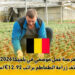 فرصة عمل موسمي في بلجيكا 2026