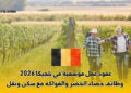عقود عمل موسمية في بلجيكا 2026