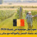 عقود عمل موسمية في بلجيكا 2026