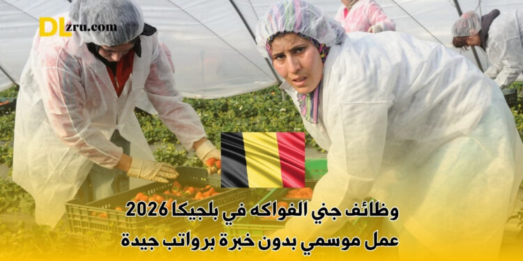 وظائف جني الفواكه في بلجيكا 2026