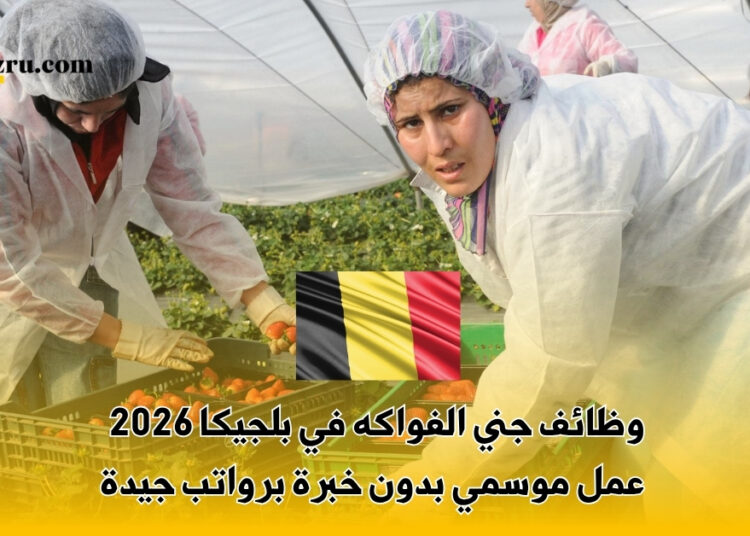 وظائف جني الفواكه في بلجيكا 2026