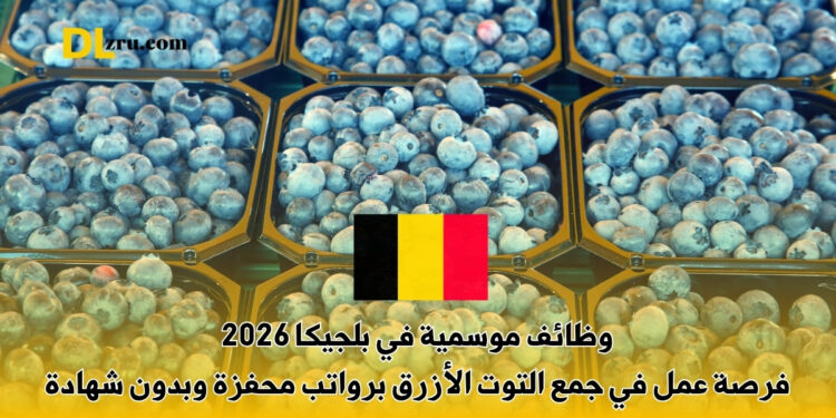 وظائف موسمية في بلجيكا 2026
