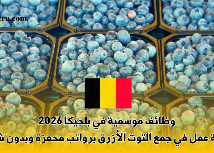 وظائف موسمية في بلجيكا 2026