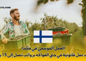 العمل الموسمي في فنلندا 2027