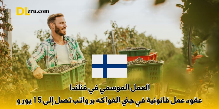 العمل الموسمي في فنلندا 2027